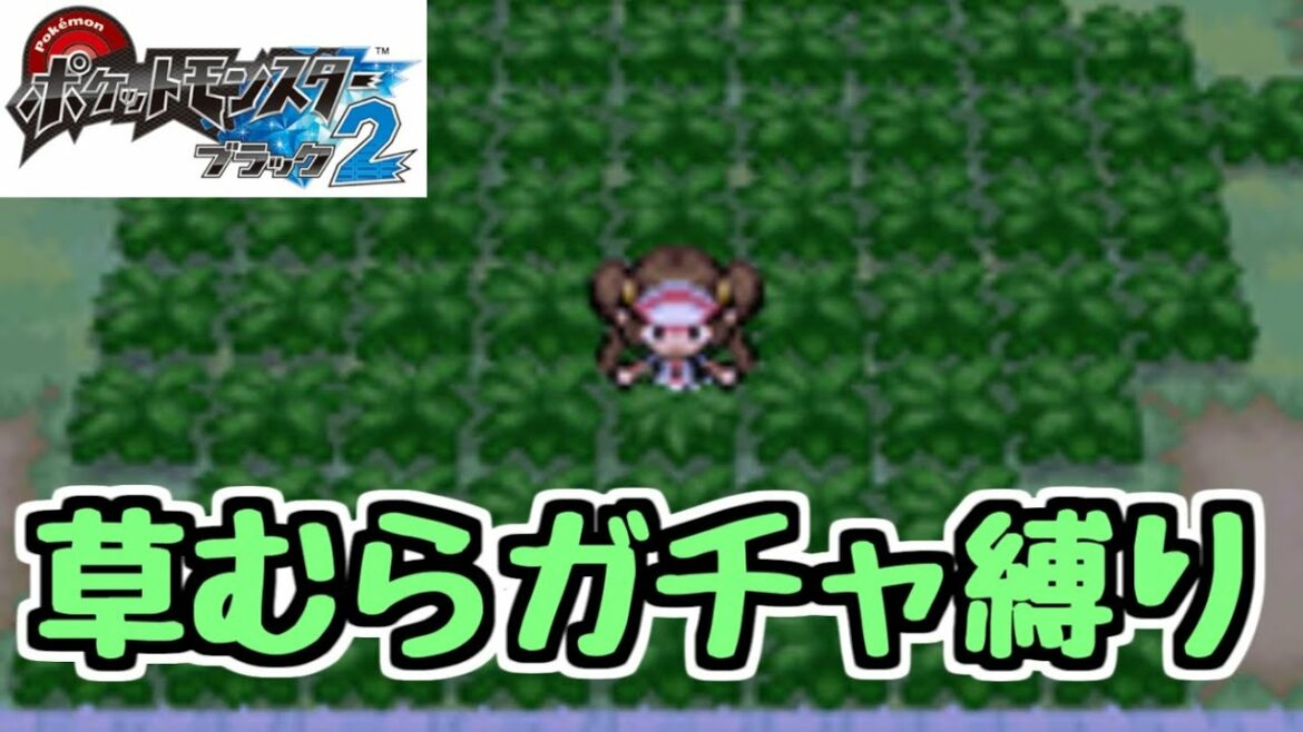 【草むらガチャ縛り】#1 ポケットモンスターブラック2