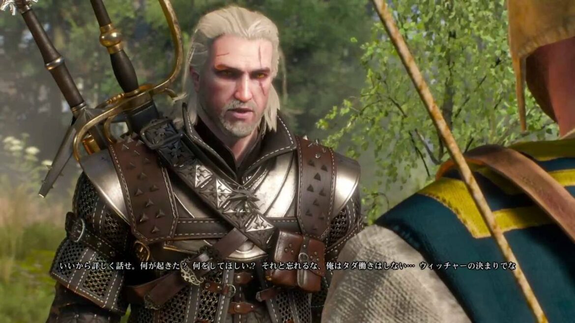 ウィッチャー3攻略 サイドクエスト 貴重な積荷