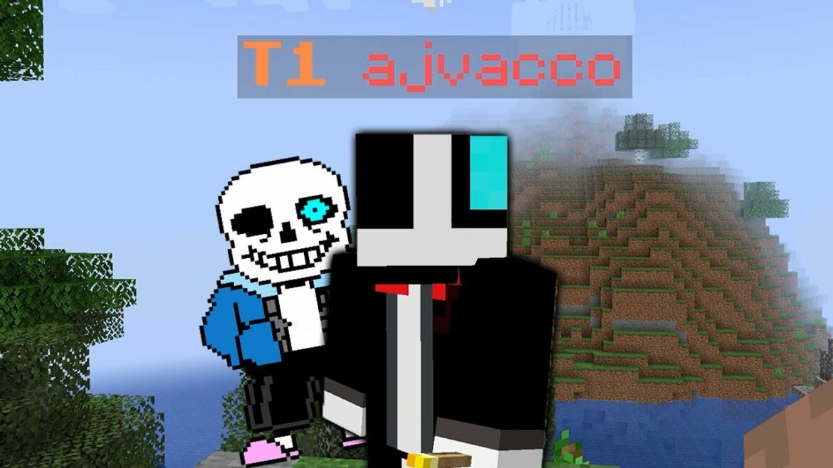 this person likes undertale