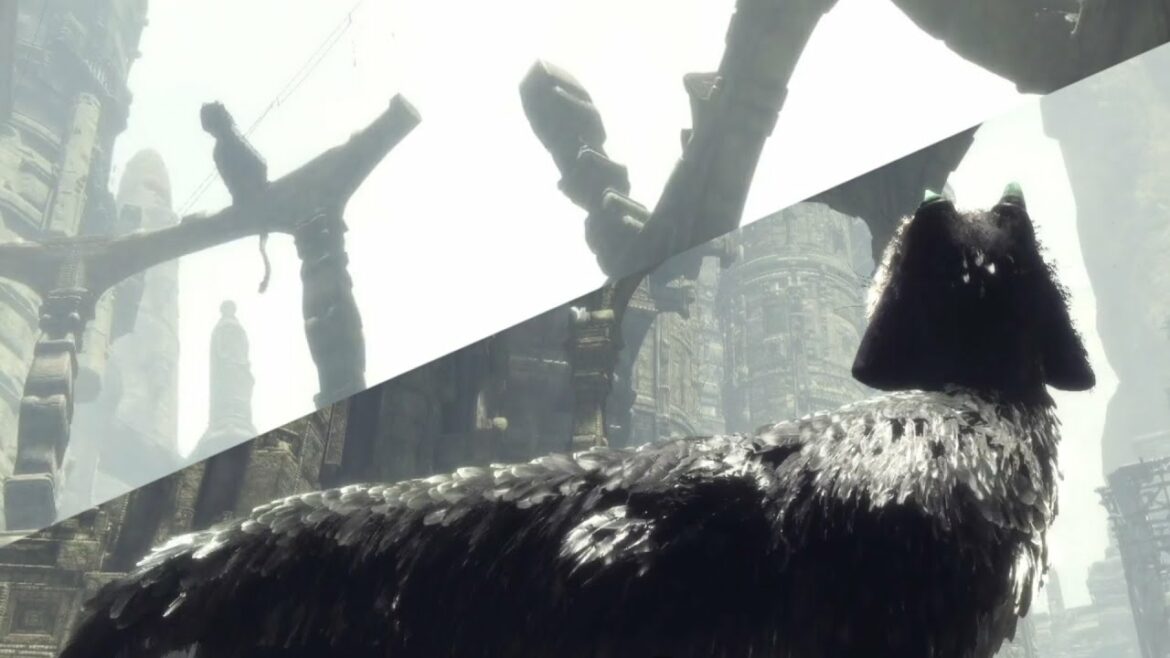 【君と行く】人喰いの大鷲トリコ【実況】Part7 仲間?