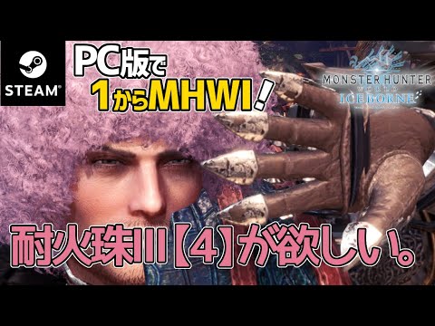 【モンハンワールド・アイスボーン/PC版】#49 ミラボレアスを前回より早く討伐したいから装飾品取りにいこ?【MHWI】