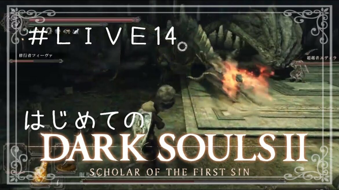 はじめてのだーくそうる2 【DARK SOULS II SCHOLAR OF THE FIRST SIN  #14】