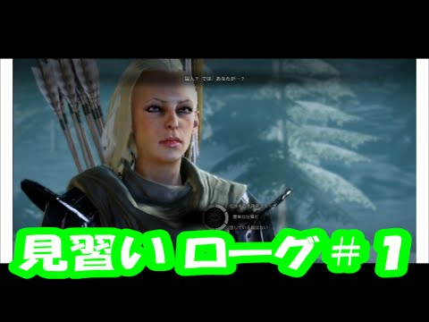 【ドラゴンエイジ:インクイジション】見習いローグの審問会#1