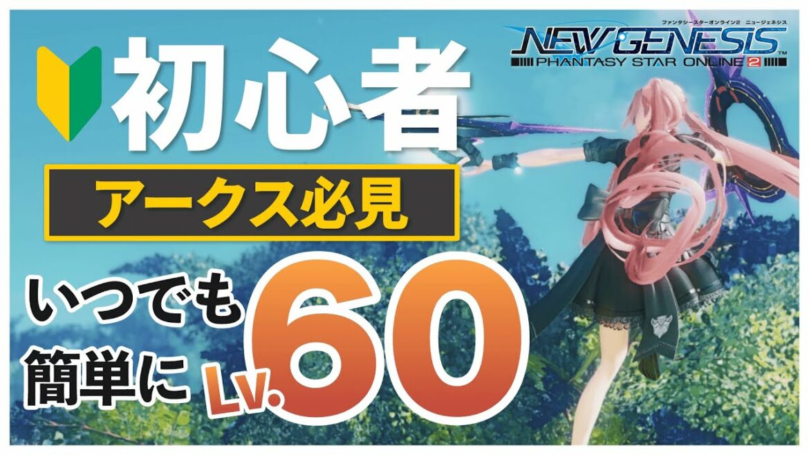 【PSO2NGS】初心者・中級者必見!!今オススメのレベリング方法をご紹介!!【初心者】