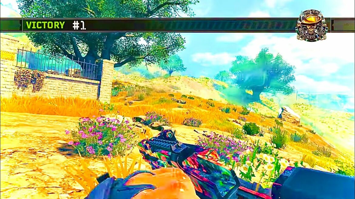 NO ONE IS PERFECT OP (PS5) | Call of Duty: Black Ops 4 | Blackout 2022