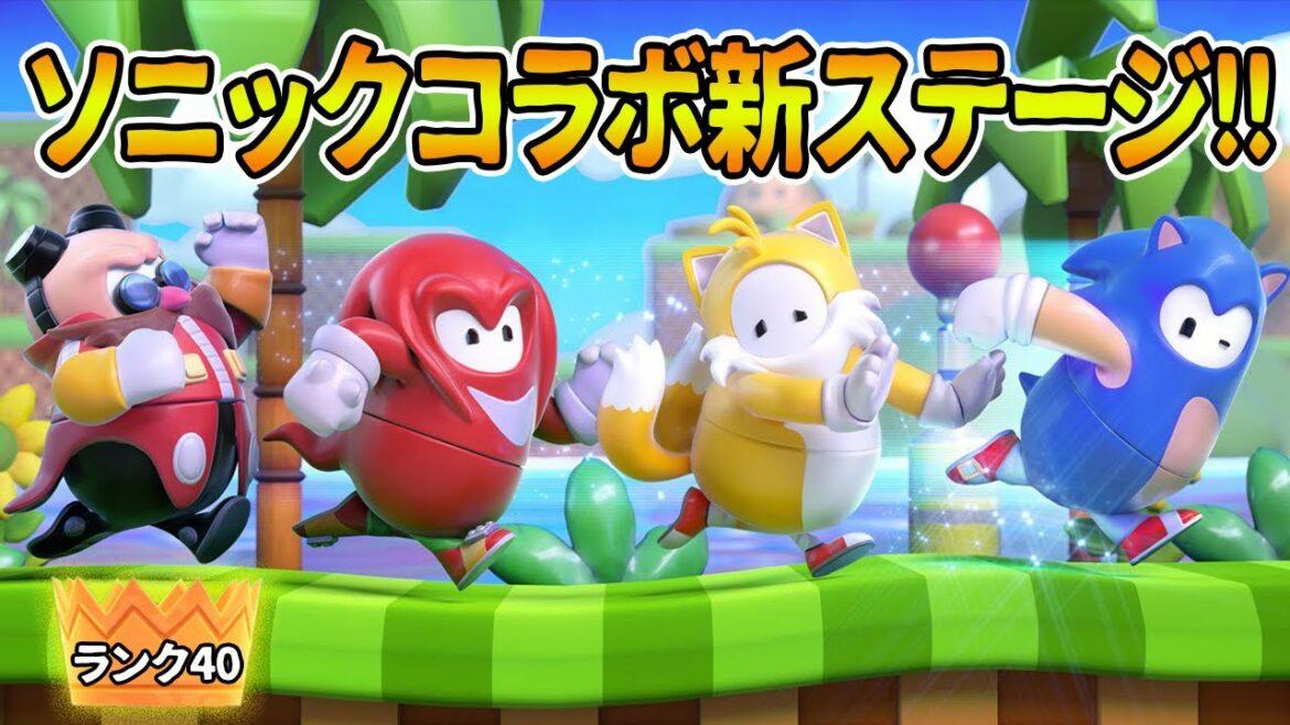 【👑ランク40】ソニックのコラボ新ステージとスキンがきたらしいのでやるぞ!【  Fall Guys / フォールガイズ 】
