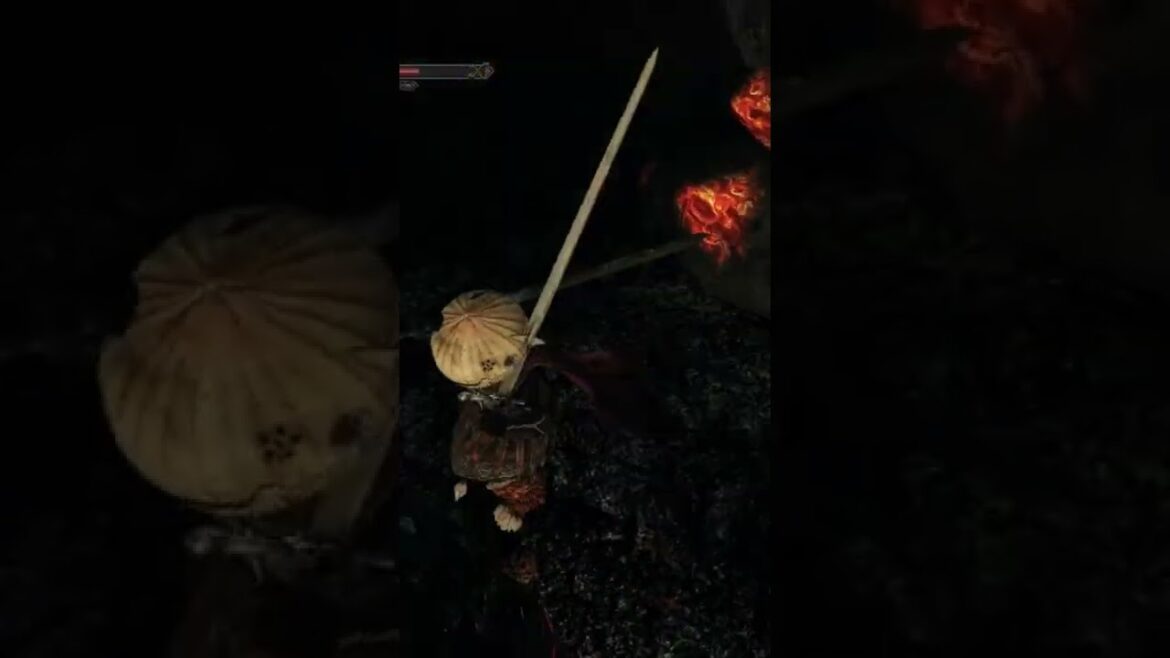 YEEEEE HAAAAWWWWW – Dark Souls 2