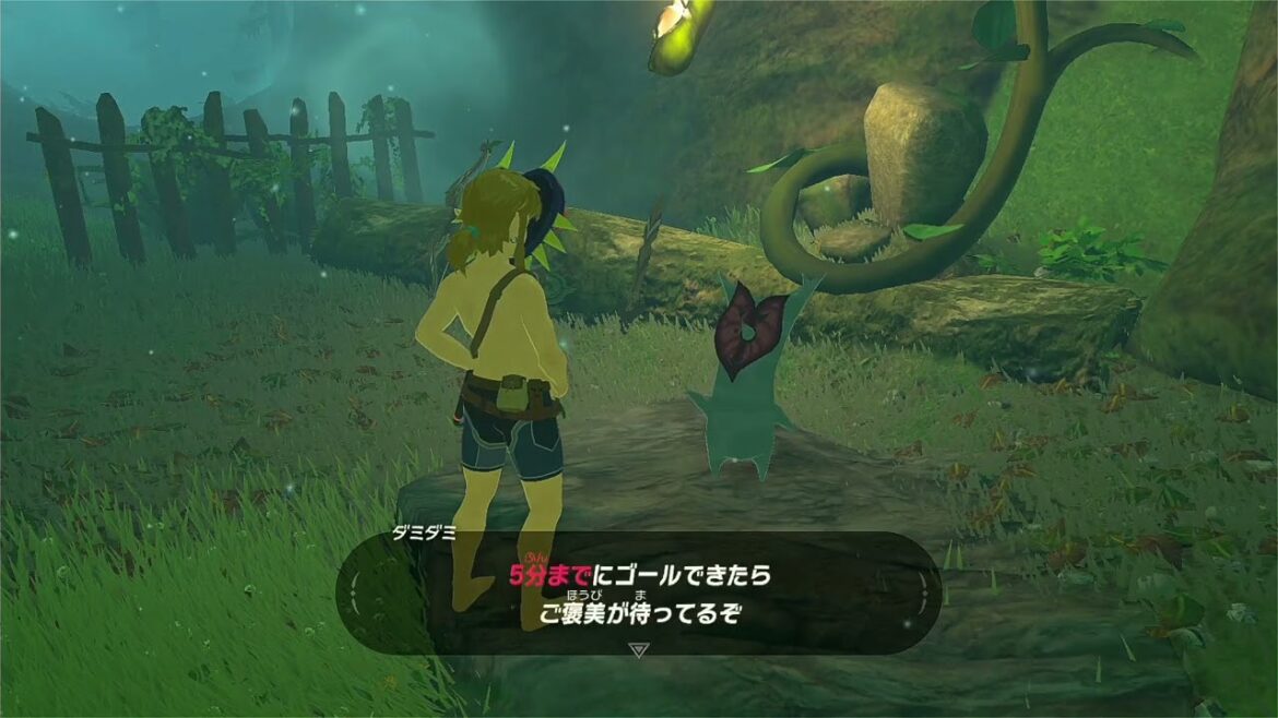 【ブレワイ】依頼を受けて、燃えずの試練を最初から森人武器を持った状態で開始してみた【ドリカラ】【ゼルダの伝説ブレスオブザワイルド,BotW,ゼル伝,字幕実況】