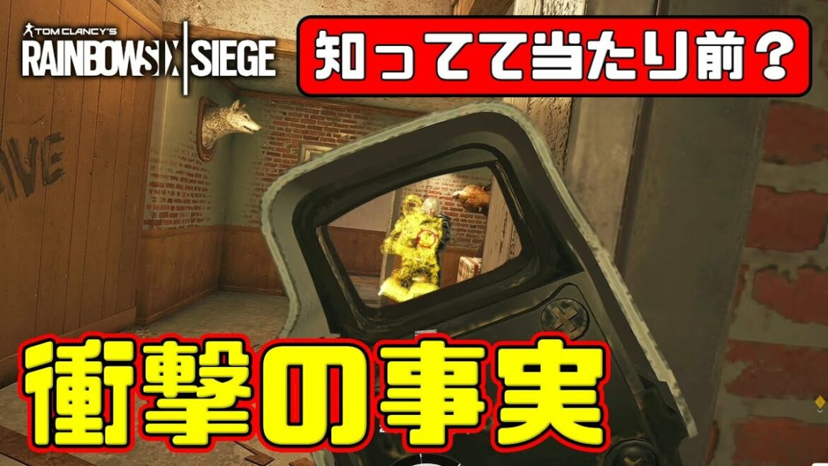 【R6S】衝撃の事実。僕は全く知りませんでした。。 pc版 レインボーシックス シージ RAINBOWSIX SIEGE 実況