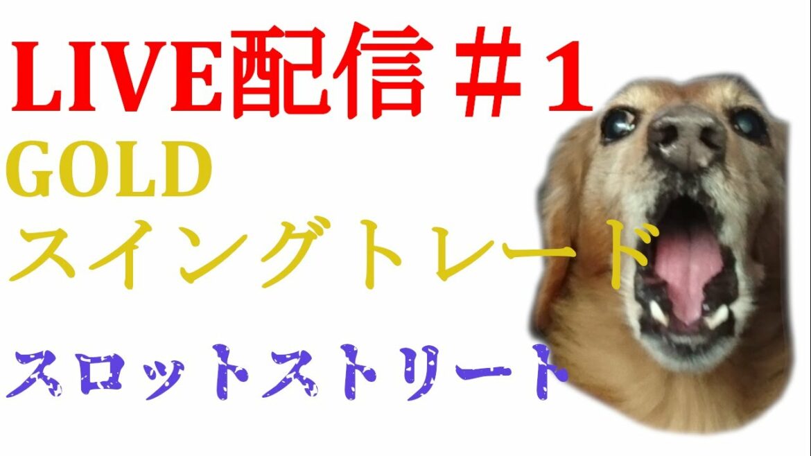 GOLDリアルトレード スロットストリート