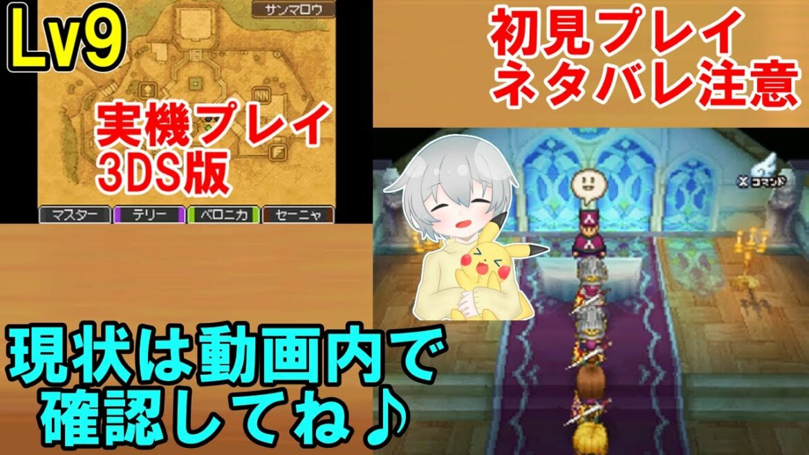 現状は動画内で確認♪【ドラクエⅨ星空の守り人】Lv9