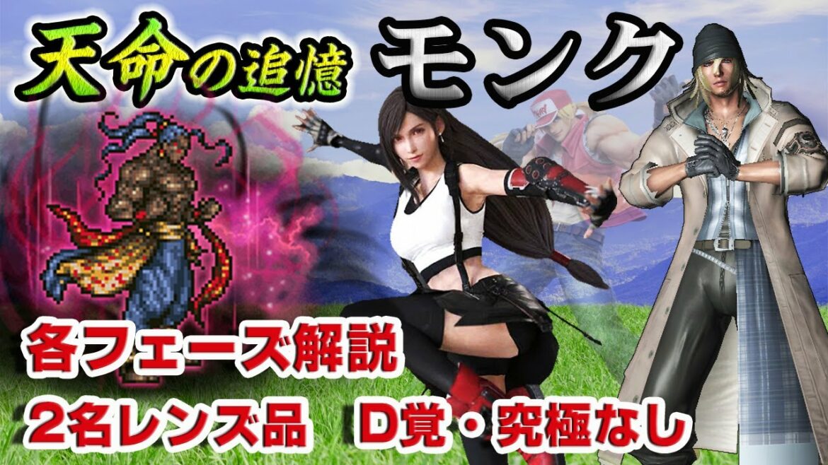【実況FFRK】天明の追憶 / モンク バルガス解説! D覚・究極なし・2名レンズ品(低確率マテ使用)決め手はスノウの〇〇ゲイザー!? Memory of Destiny Vargas D700