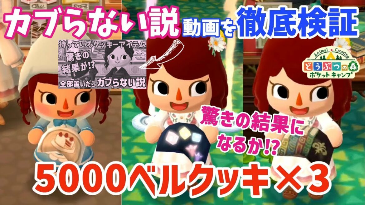 【ポケ森】カブらない説の検証!5000ベルクッキー来たので検証しながら食べてみました【どうぶつの森ポケットキャンプ】 無課金