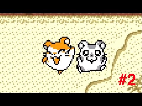 タネすぐ失くすこうしくん とっとこハム太郎2 ハムちゃんず大集合でちゅ #2