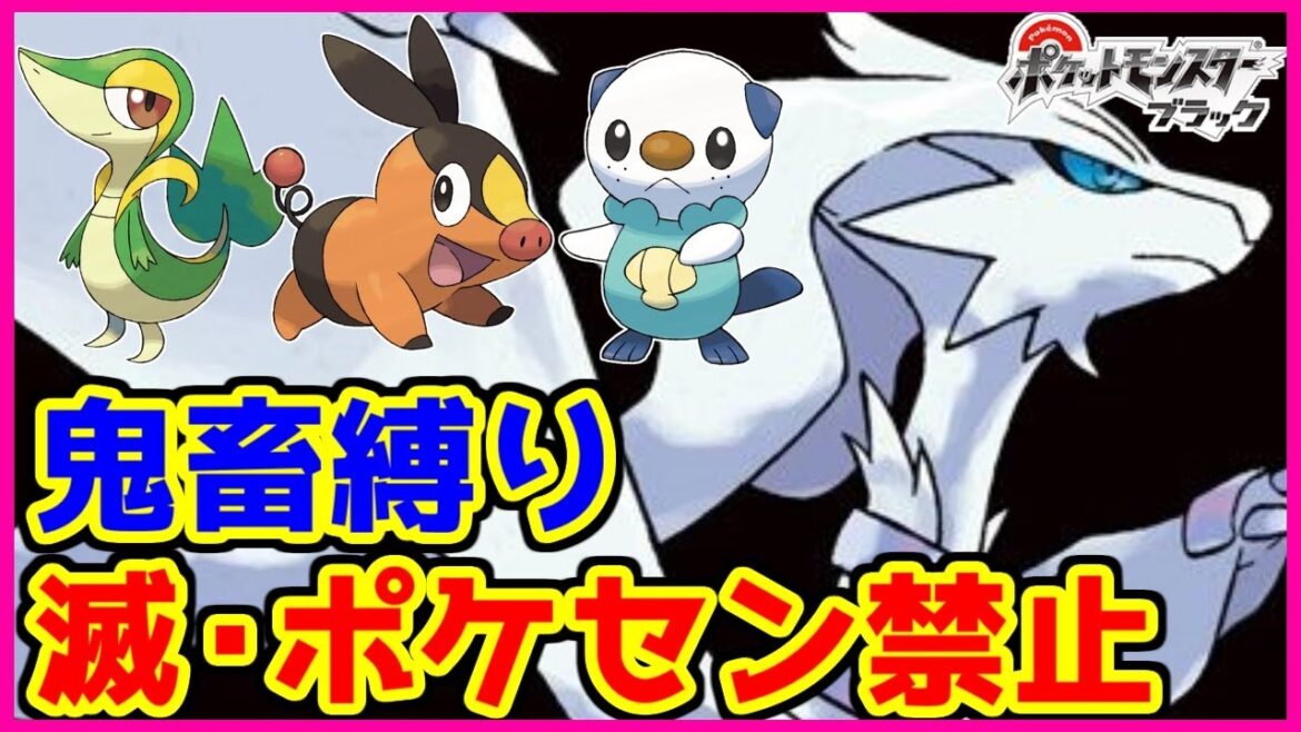 【鬼畜縛り】滅・ポケモンセンター禁止マラソン~イッシュ編~#14【ポケモンBW】