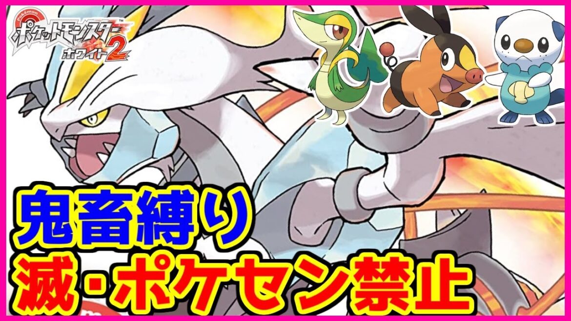 【鬼畜縛り】滅・ポケモンセンター禁止マラソン~イッシュ2編~#17【ポケモンBW2】