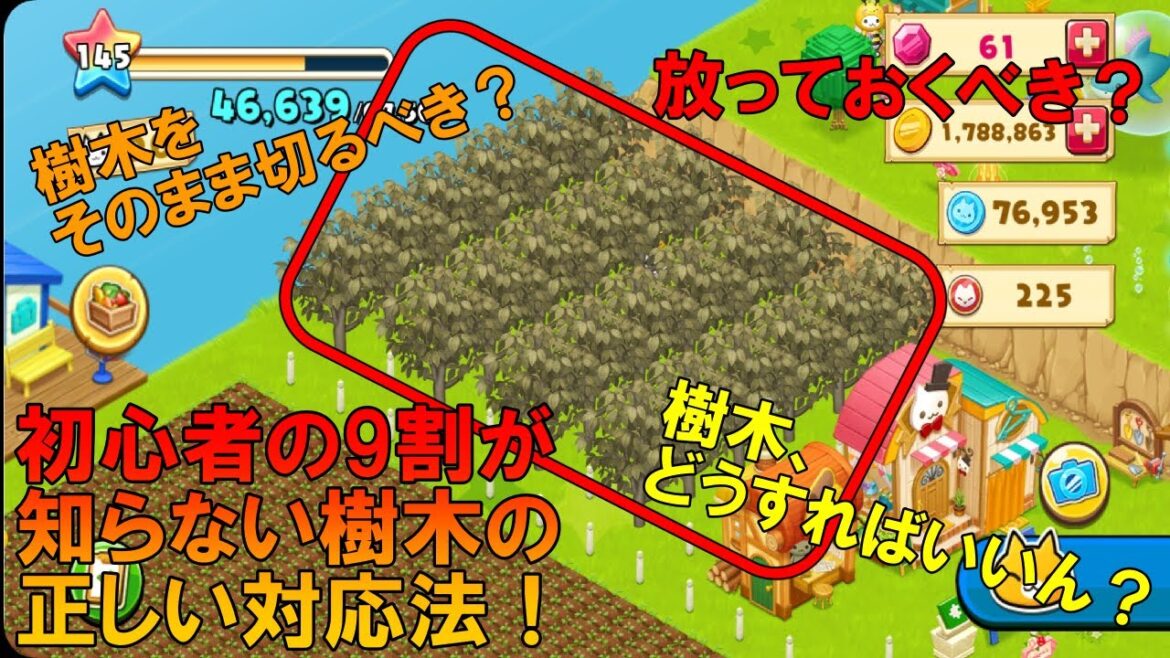 【星の島のにゃんこ】枯れた樹木はどう対処するか教えます!【ほしの島のにゃんこ】