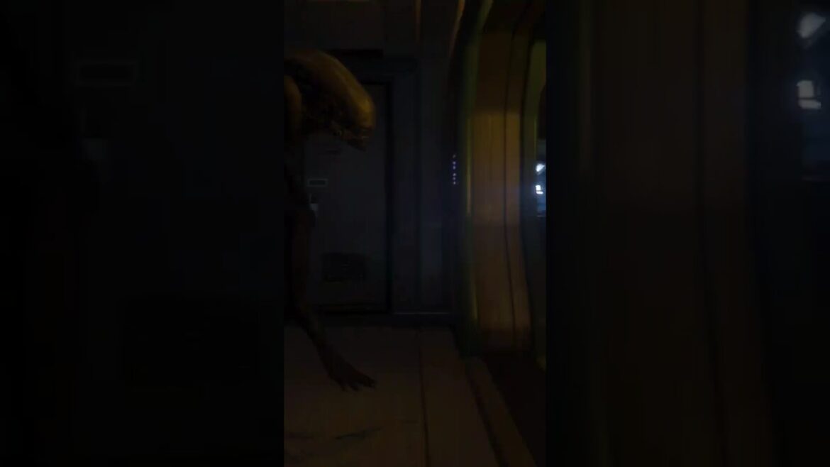 For some reason the Xenomorph was fine with me chilling here. Alien: Isolation