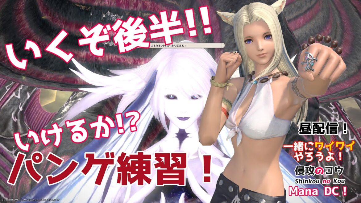 【ゲーム実況】FFXIV パンデモニウム零式:天獄編4層 P12S 練習  視聴者参加型 一緒にワイワイやろうよ