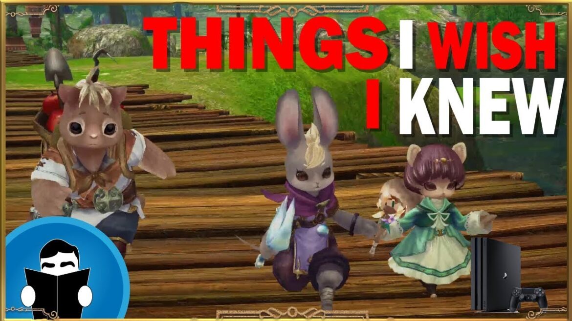 Caravan Stories Getting Started Guide | Things I wish I knew