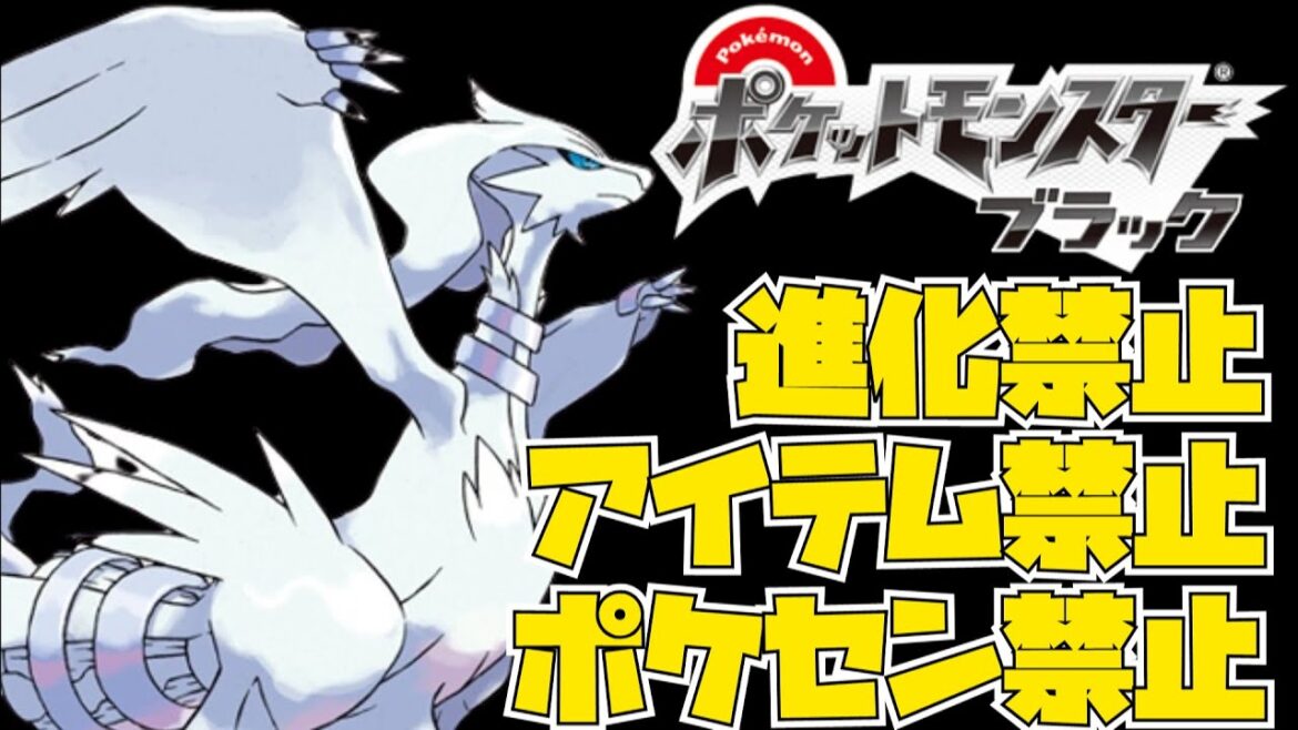 #5「進化禁止・アイテム禁止・ポケセン禁止」縛りでポケットモンスター ブラックをクリアする男の配信!