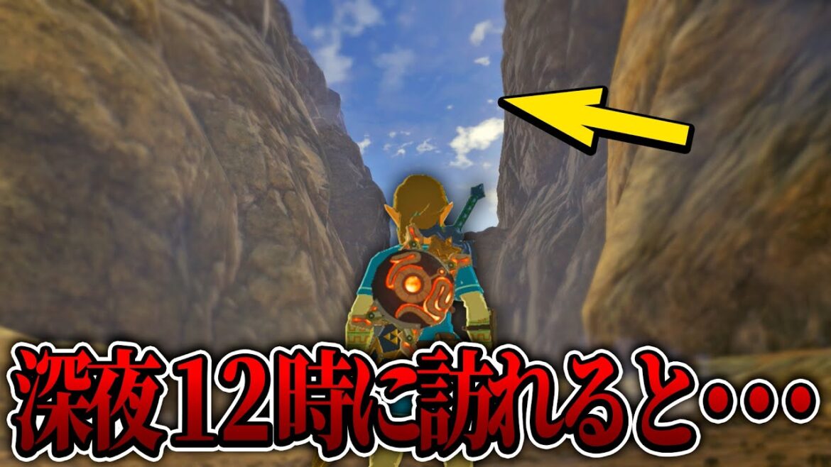 3か所で謎解きをクリアすると〇〇が強化されるらしいので行ってみたら…『リーバルの詩編』【ゼルダの伝説/ブレスオブザワイルド/ティアキン実況者】