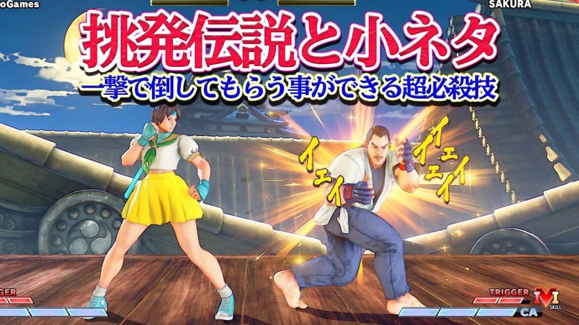 「挑発伝説の効果とダンの小ネタ」 全キャラにデスコンボ確定をプレゼントする漢の中の漢 ストリートファイターV 【Nokyo】 ゲームレビュー