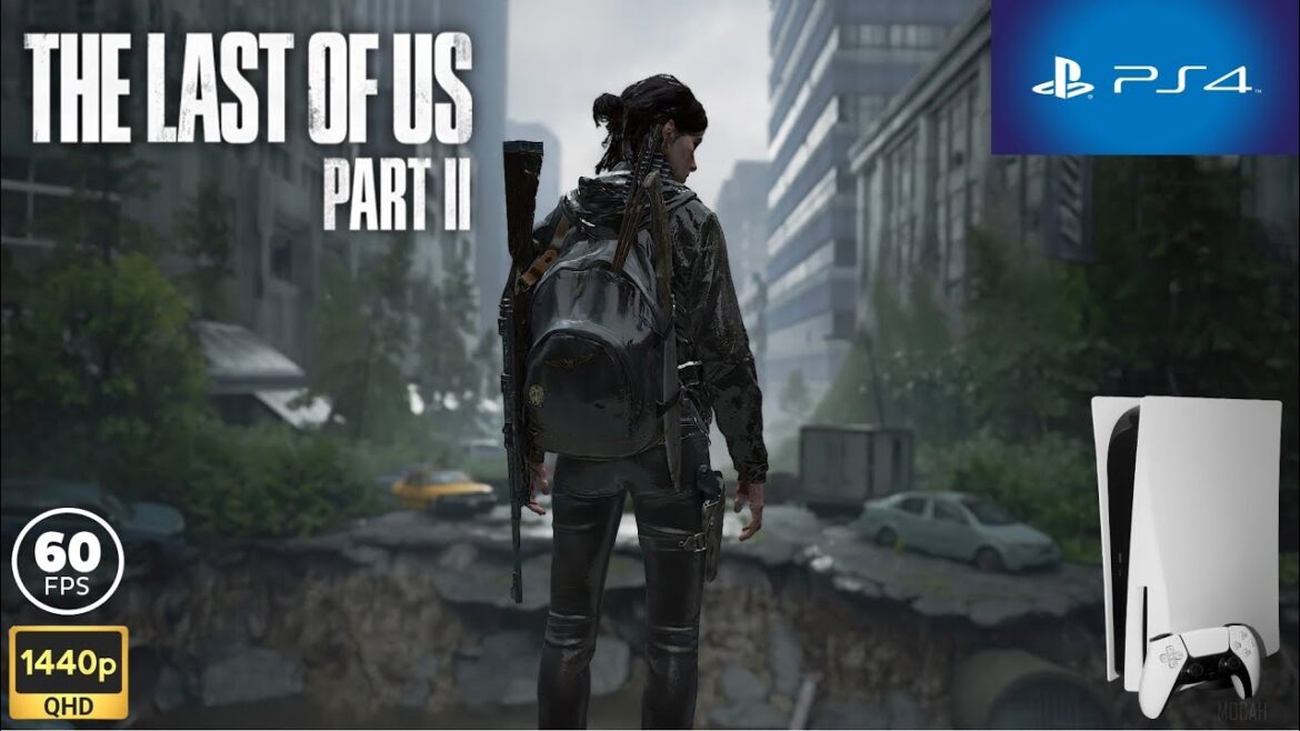 THE LAST OF US PART II (Meu PS5)