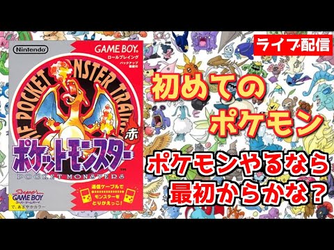 【ポケットモンスター】タケシにリベンジ!