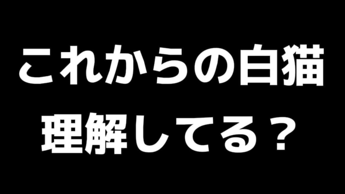 【白猫】これからの白猫はどうなっちゃうの?
