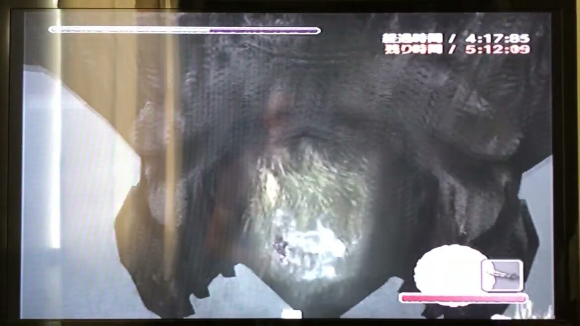 ワンダと巨像 PS2 ウォークスルー タイムアタック ノーマル モード パート 5