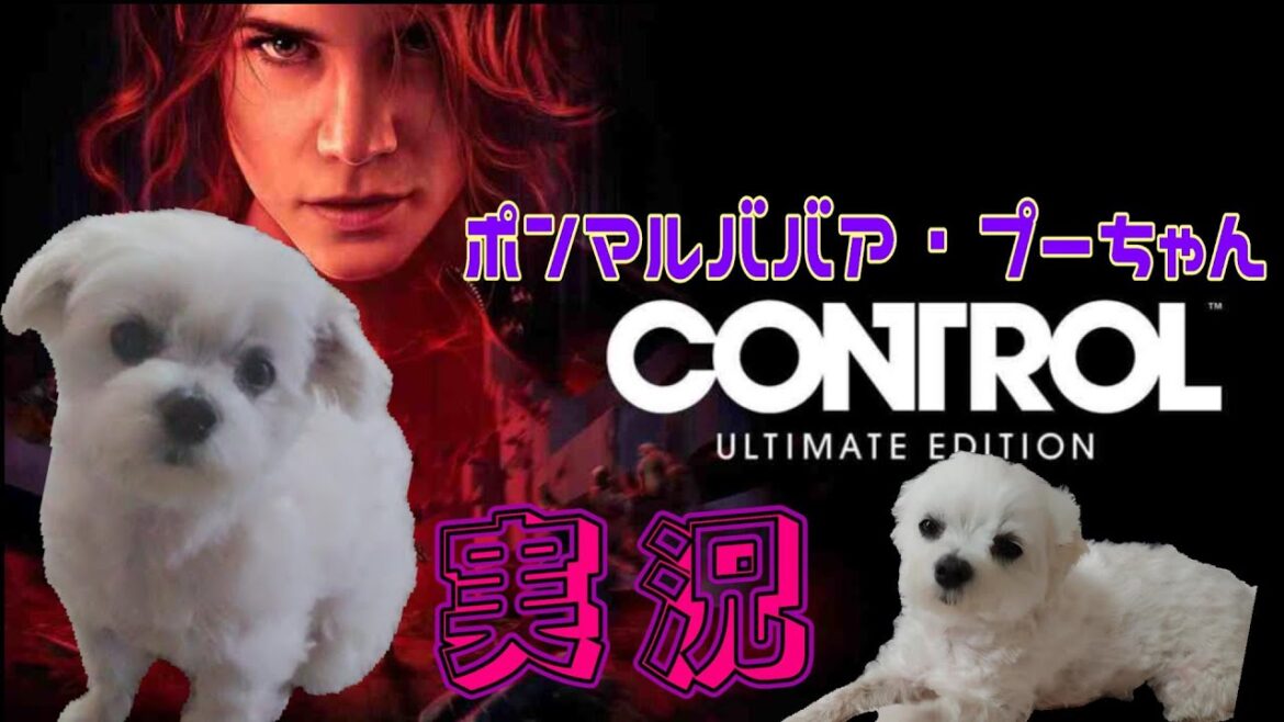 #5 【CONTROL コントロール】超能力アクションアドベンチャー 超能力者オババゲーム実況