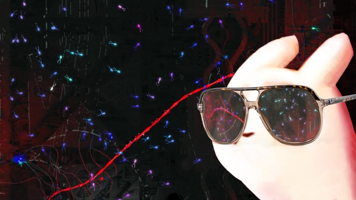 Blinding Scugs (Rain World)