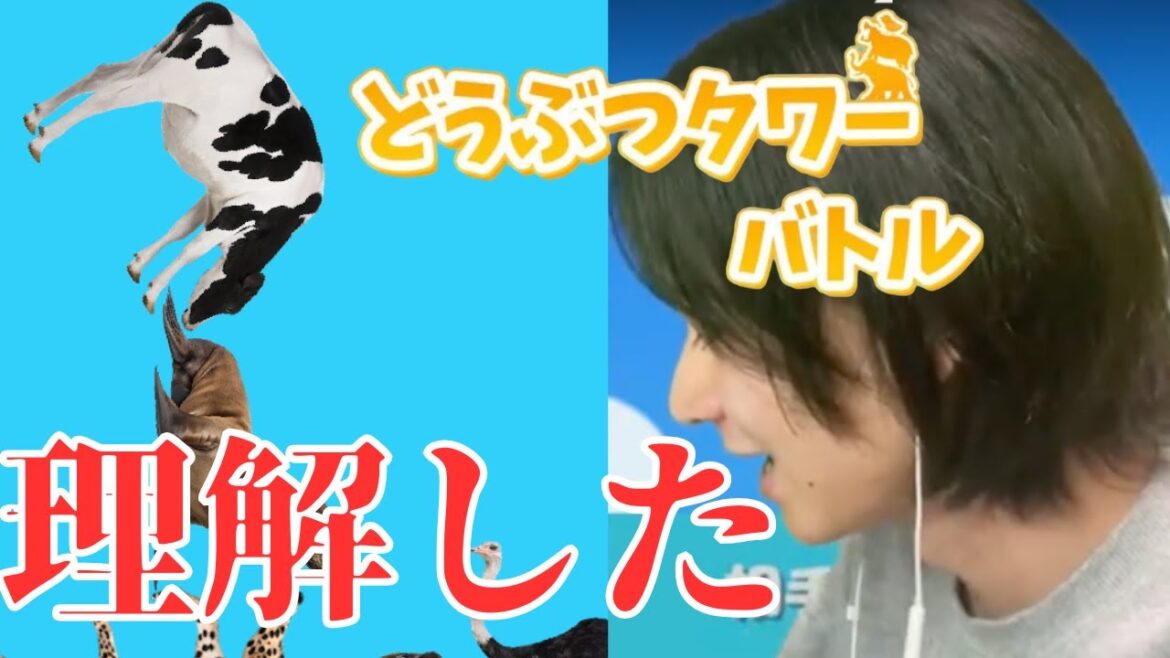 【どうタワ】明日の大会に向けて追い込むぞ!!!【どうぶつタワーバトル】