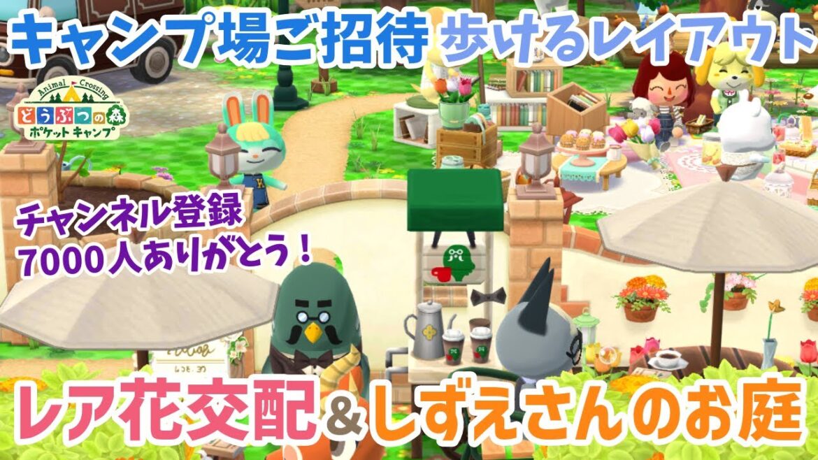 【ポケ森】キャンプ場ご招待&レア花交配企画!チャンネル登録7000人ありがとうございます!【どうぶつの森ポケットキャンプ】