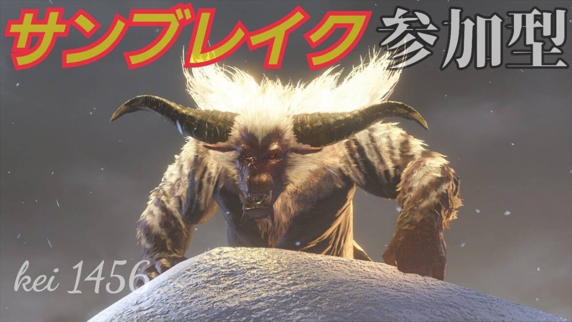 【モンスターハンターライズ サンブレイク】【参加型】乙の達人