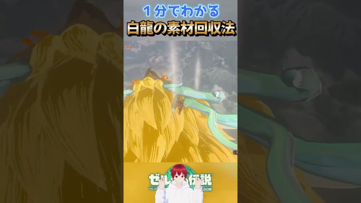 【ゼルダの伝説】1分でわかる白龍の素材回収法!!【ティアキン】