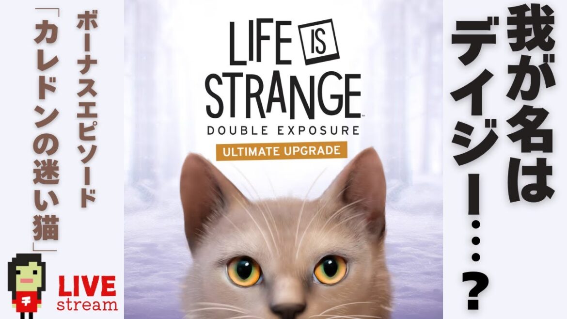 (LIVE) ボーナスコンテンツ「カレドンの迷い猫」 ライフイズストレンジダブルエクスポージャー