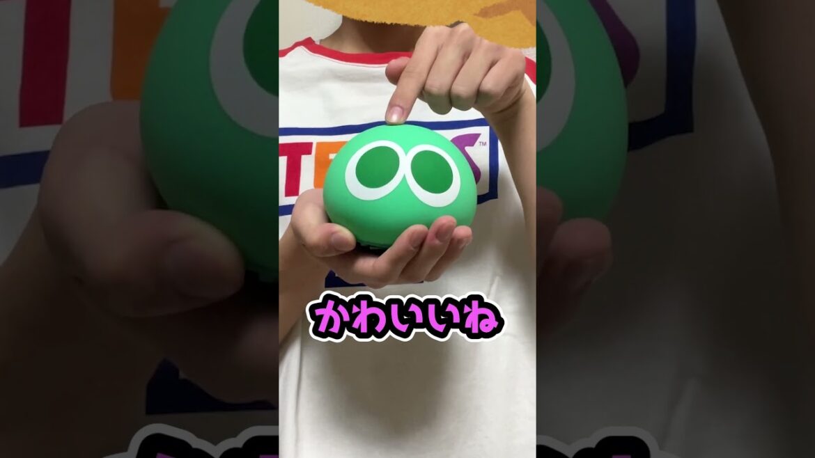 S〇GAクsがー  #ブタサンダー  #替歌