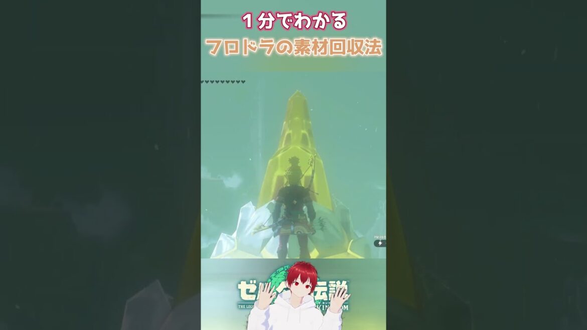 【ゼルダの伝説】1分でわかるフロドラの素材回収法!!【ティアキン】
