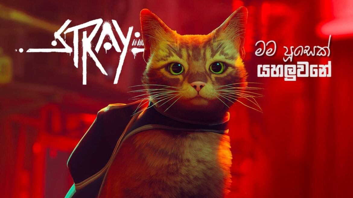 මම පූසෙක් – Playing Stray Cuz I’m A Cat – Stray Gameplay