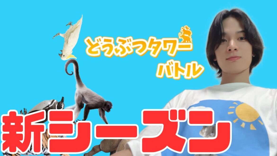 【新シーズン】1744〜 どうタワのレートを上げる配信【どうぶつタワーバトル】