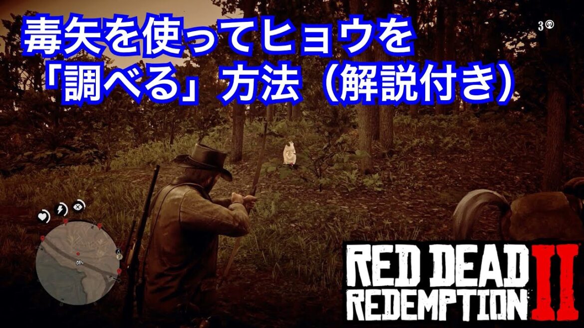 【レッドデッドリデンプション2】毒矢を使ってヒョウを「調べる」方法
