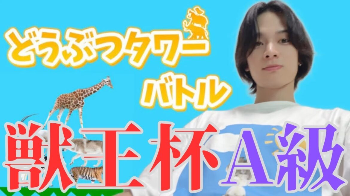 【どうタワ大会】新年一発目!どうぶつタワーバトルA級獣王杯2025【2025年】