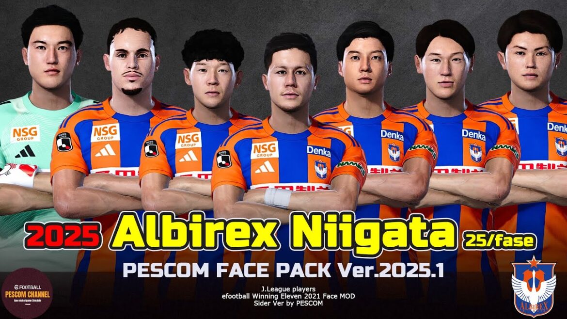 アルビレックス新潟 2025 フェイスパック efootball PESウイイレ2021 Face