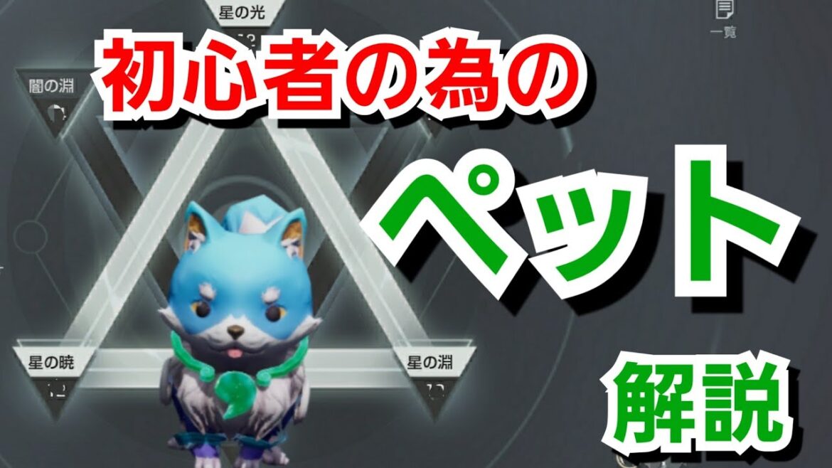 【ドラブラ】ペット機能の解説「初心者向き」【コードドラゴンブラッド】