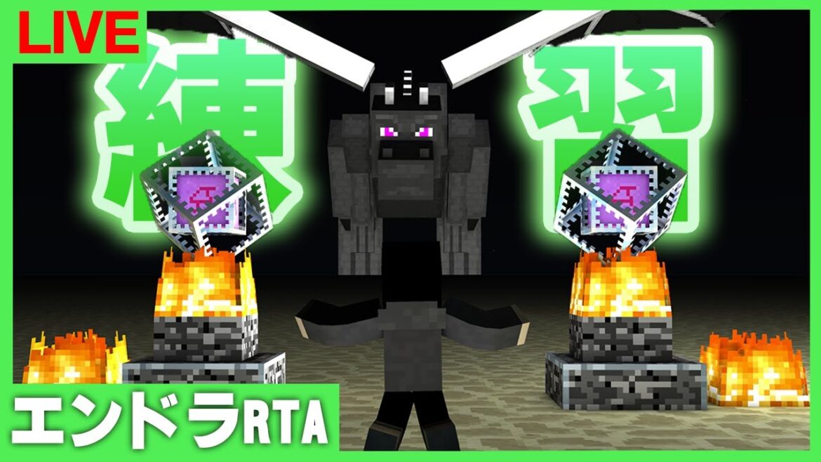 【マイクラ】自己ベスト更新を目指して練習:エンドラRTA【まぐにぃ】