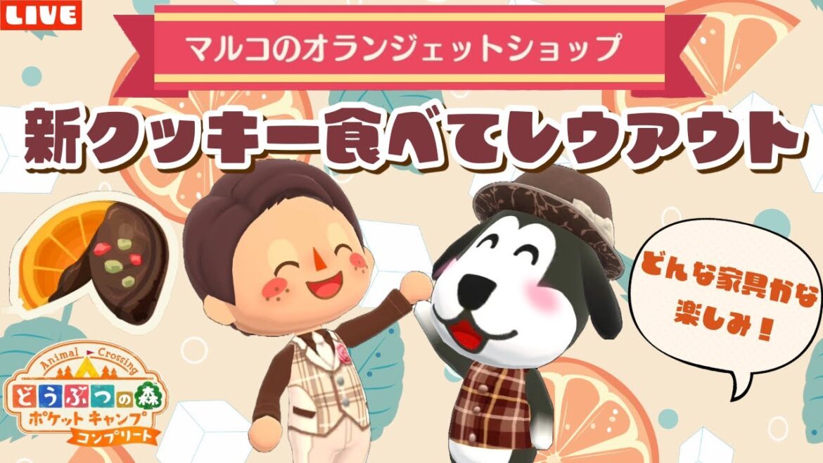 【ポケ森コンプリート】2月の新クッキー爆食い!オランジェットの可愛いアイテムでレイアウト配信!【どうぶつの森ポケットキャンプ】