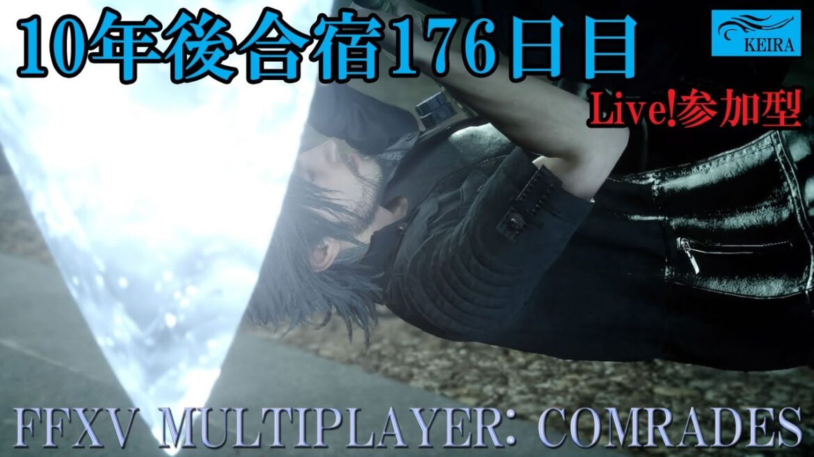 FF15戦友ー10年後合宿176日目