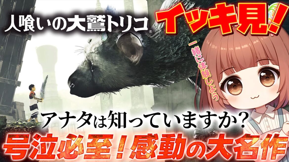 【号泣必至】イッキ見!人喰いの大鷲トリコ【一気見総集編】